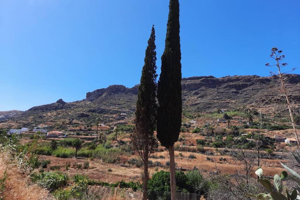 Casa Rural Los Cipreses. Cercados De Arana San Bartolomé Eksteriør billede