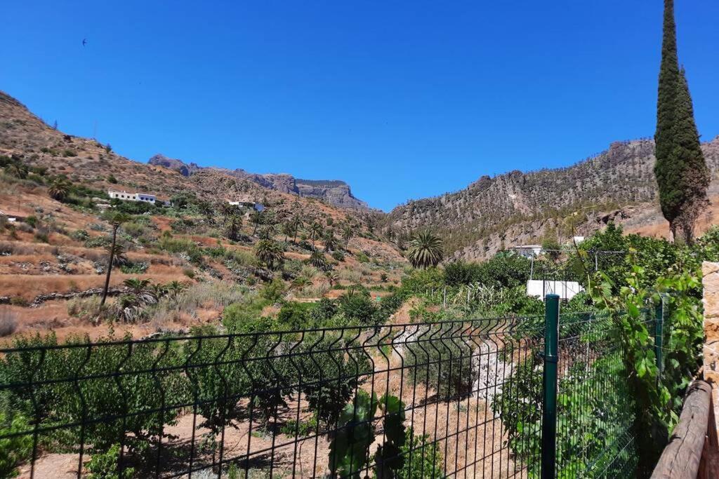 Casa Rural Los Cipreses. Cercados De Arana San Bartolomé Eksteriør billede